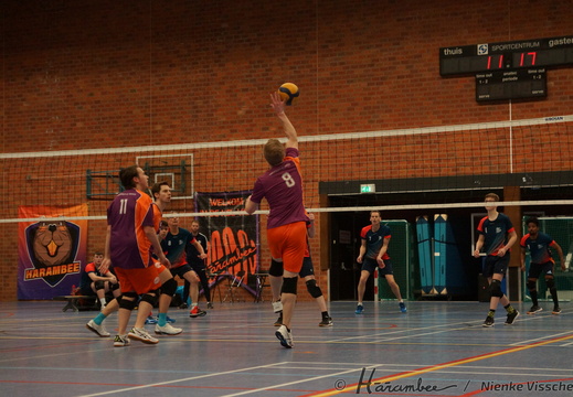 Saturday 2025-03-08